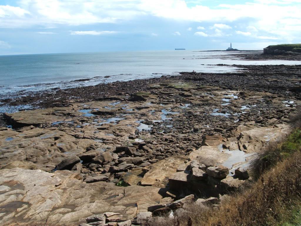 Lighthouse Guest House Whitley Bay Eksteriør bilde
